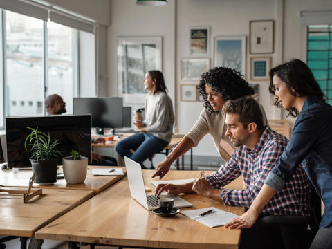 Creative employees working on a project